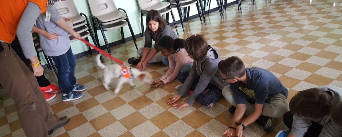 Pet Therapy 1