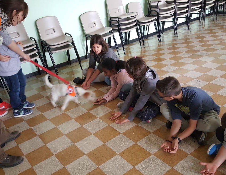 Pet Therapy 1