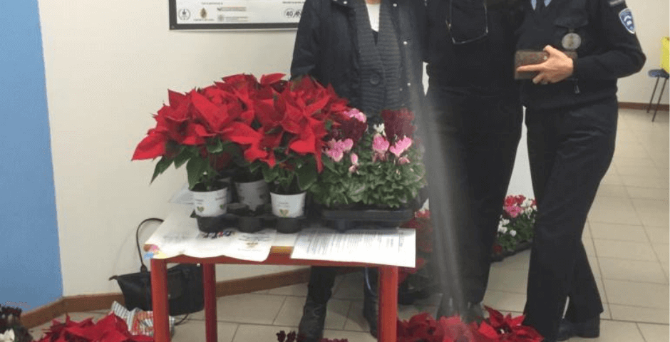 7 Dicembre 2018