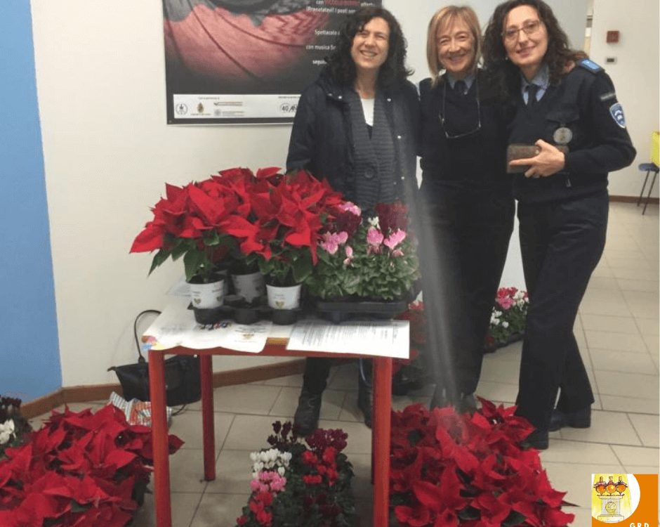 7 Dicembre 2018